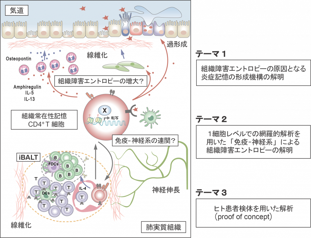 A01領域代表 平原 潔